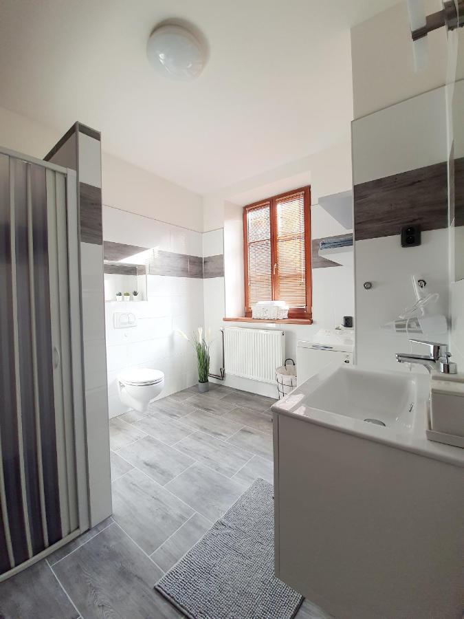 Apartman Spalovka Nový Bor Buitenkant foto